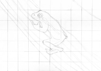 Gezeichneter Frosch mit Raster