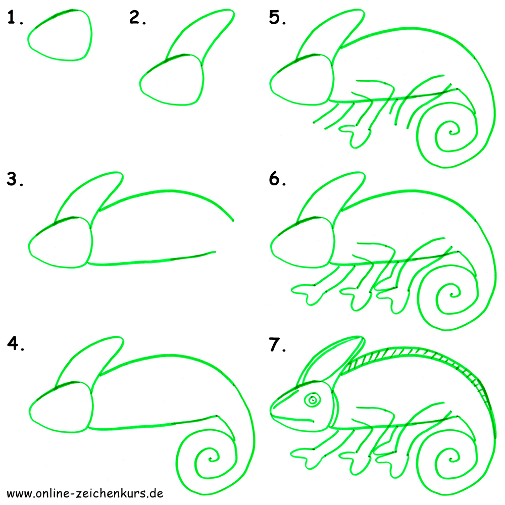 Anleitung: Chameleon zeichnen