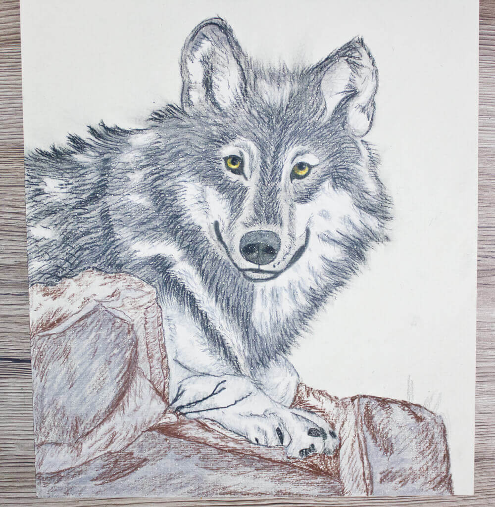 bilder zum ausmalen vorlage wolf malen  malvorlagen