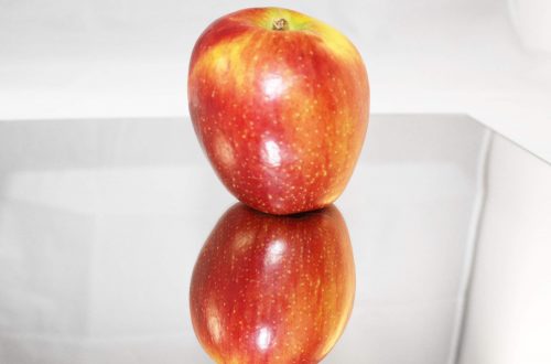Zeichenvorlage für eine Spiegelung eines Apfels