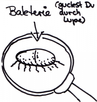 Edding Skizze einer Bakterie