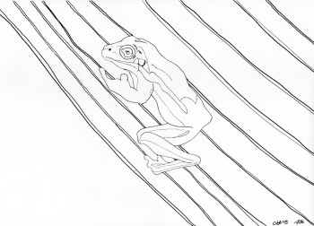 Frosch Zeichnung Tusche-Konturen Frosch Zeichnung Tusche-Konturen
