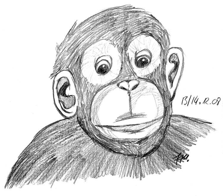 Schimpanse mit Polychromos aus dem Kopf gezeichnet