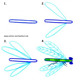 Anleitung: Libelle zeichnen