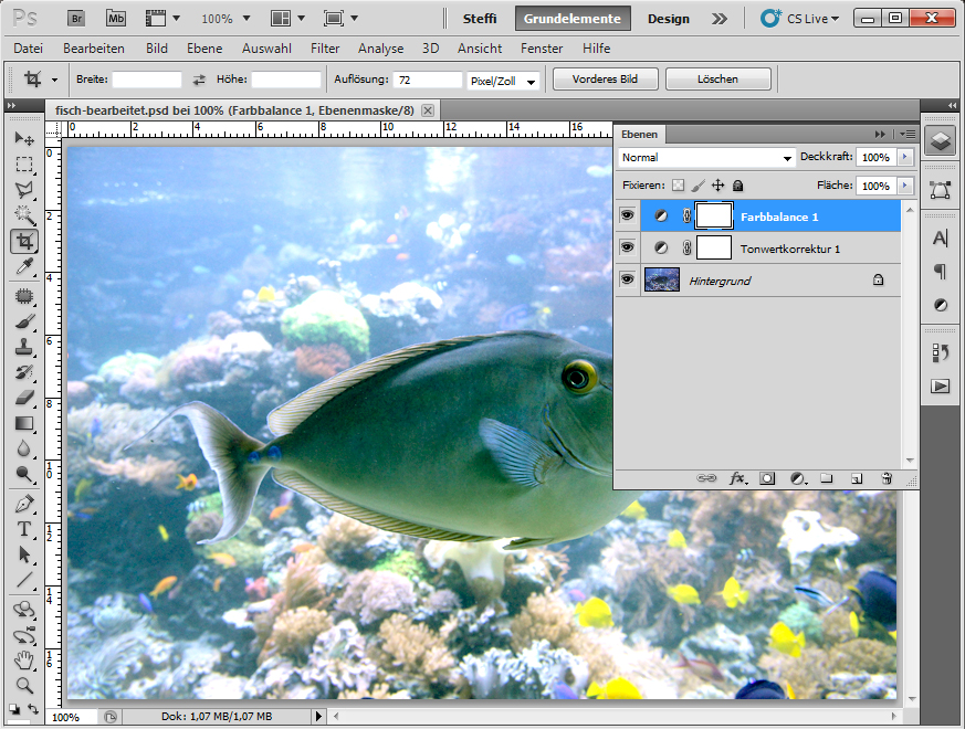 Photoshop: Fotos mit Tonwertkorrektur verbessern