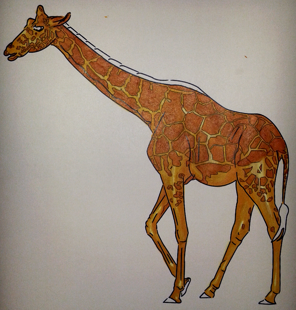 28,5 cm x 22 cm Giraffen Skizzieren Malen mit Bleistiften 