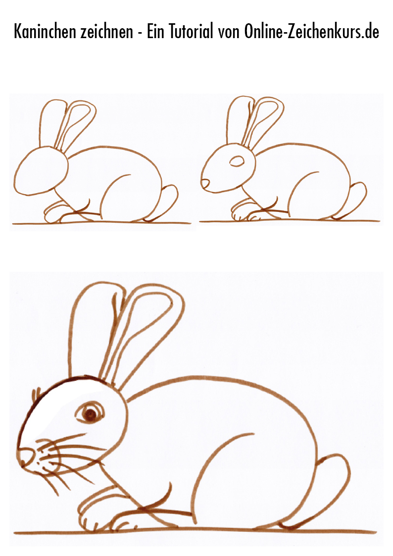 Liegendes Kaninchen - Tutorial 2
