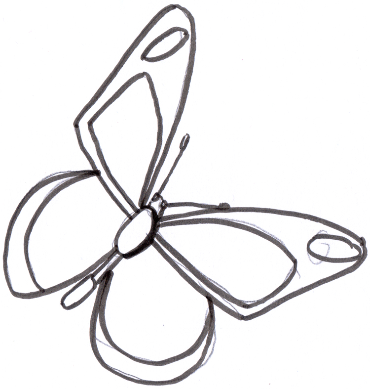 Schmetterling Zeichnen Eine Zeichenanleitung Fur Kinder