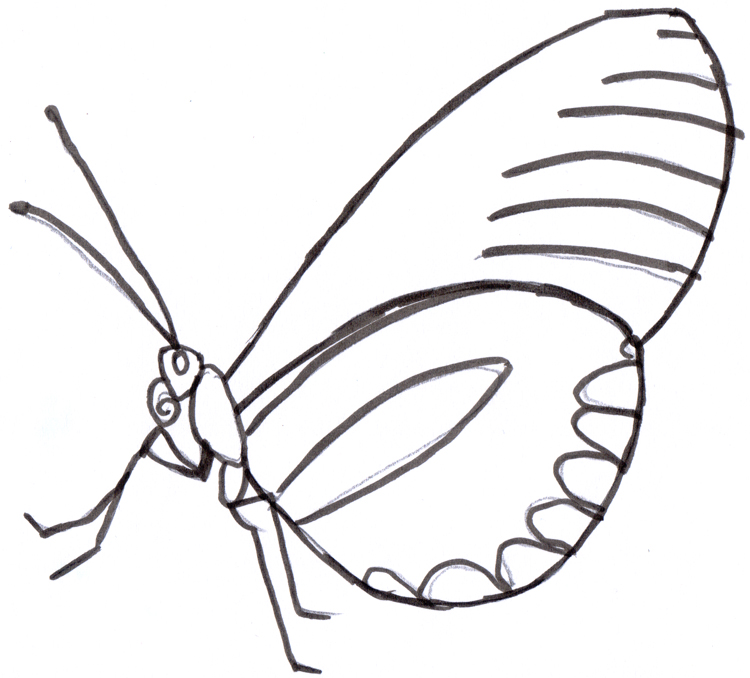 Schmetterling Beispielbild