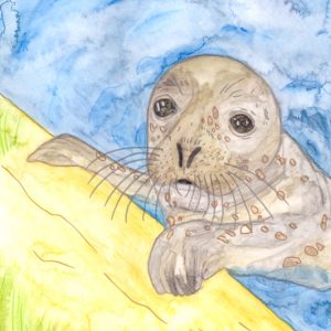 Fertige Seehund Aquarellmalerei