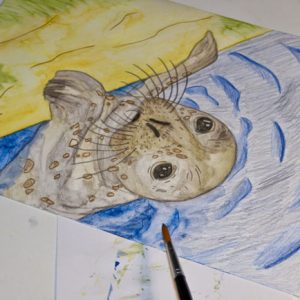 Seehund Zeichnung: Aquarellbuntstift aquarellieren 10