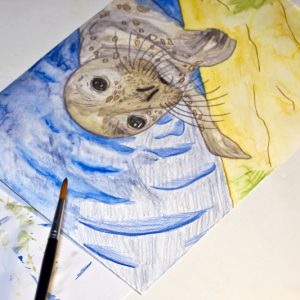 Seehund Zeichnung: Aquarellbuntstift aquarellieren 12