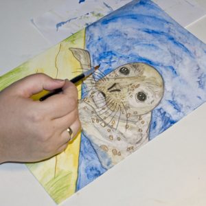 Seehund Zeichnung: Aquarellbuntstift aquarellieren 14