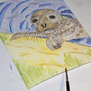 Seehund Zeichnung: Aquarellbuntstift aquarellieren 8