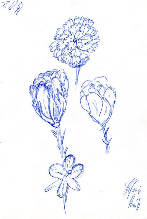 1997 - Verschiedene Blumen
