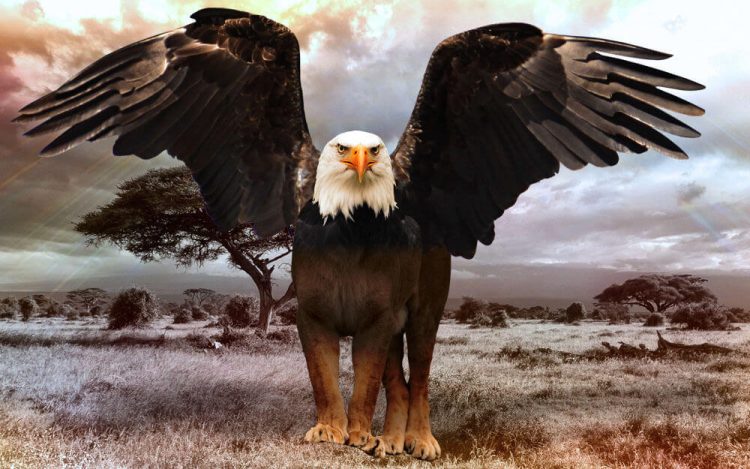 Photoshop Collage erstellen: Fabelwesen Greif