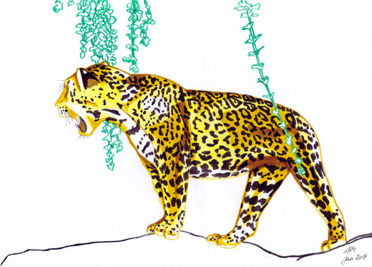 Jaguar Filzstift Kolorierung 4