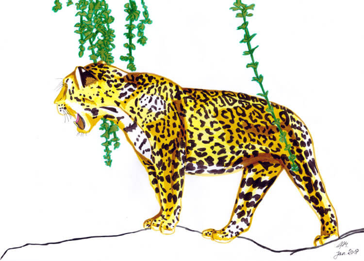 Jaguar Filzstift Kolorierung 5