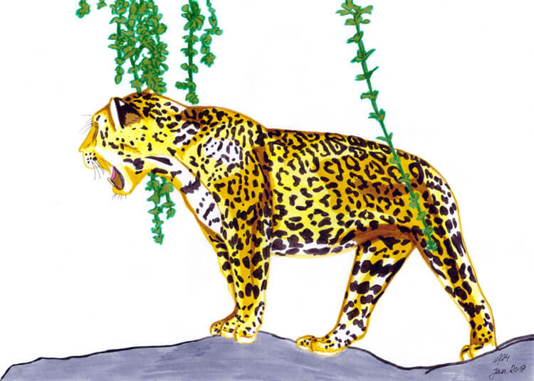 Jaguar Filzstift Kolorierung 6