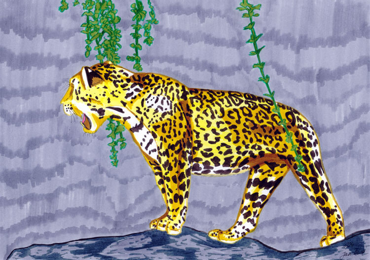 Jaguar Filzstift Kolorierung 8