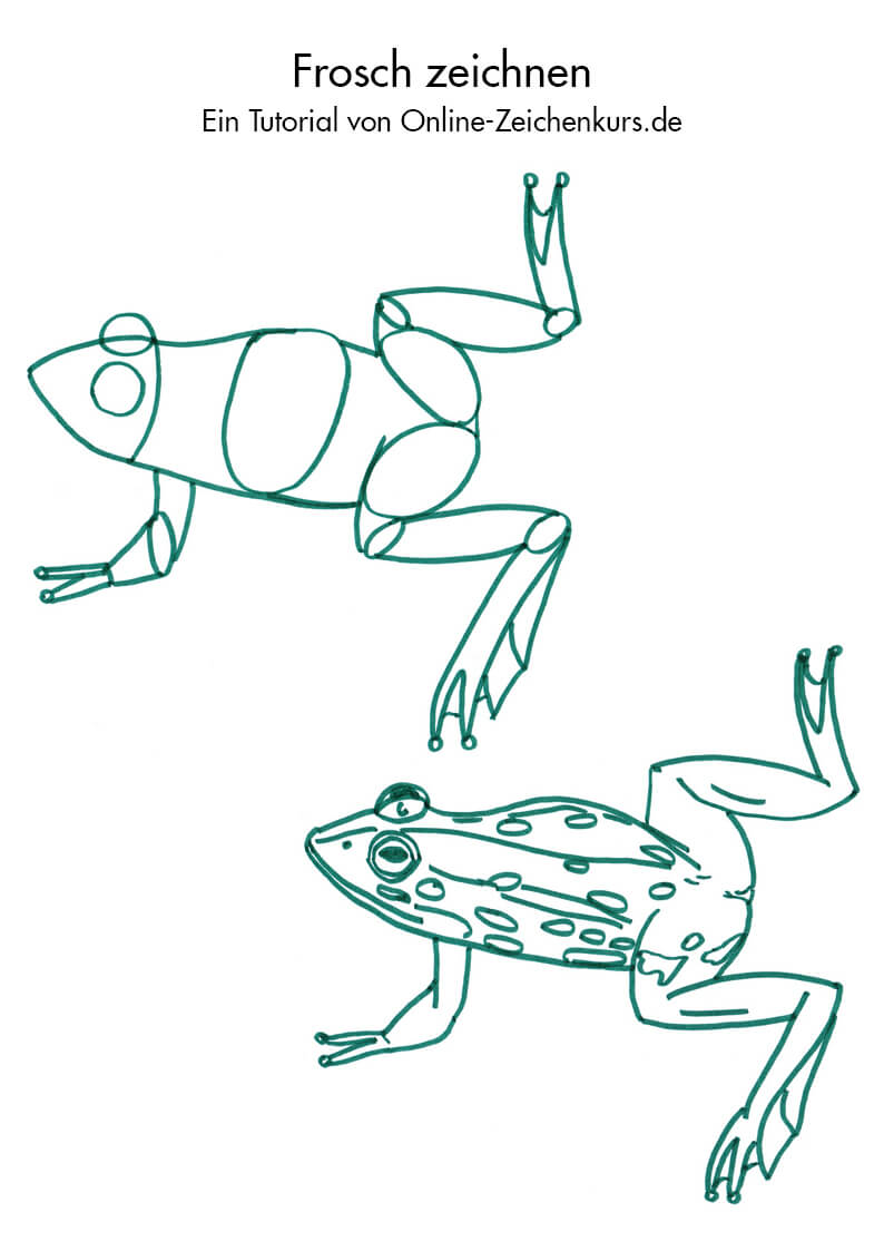 Frösche und Kröten zeichnen