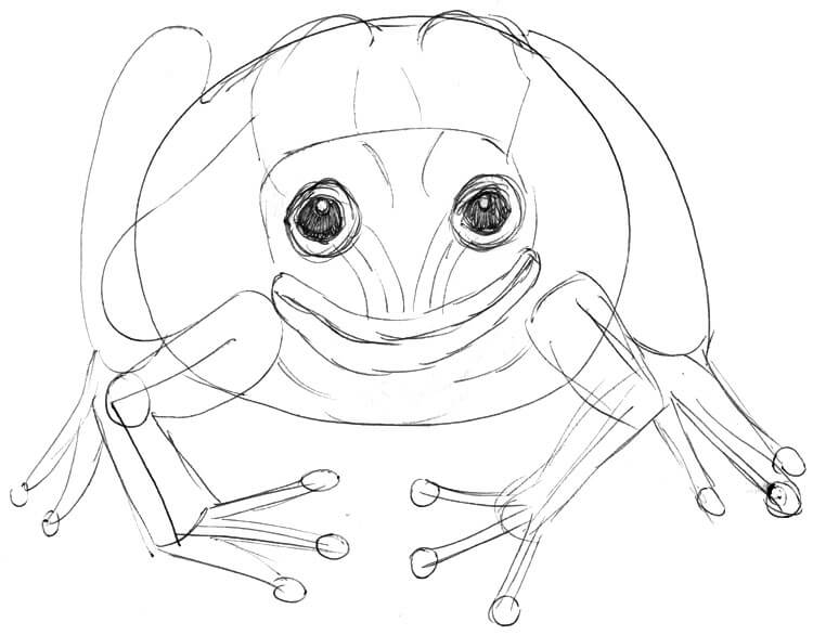 Frosch zeichnen 5 - Skizze