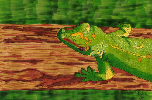 Gecko Markerkolorierung Hintergrund 5