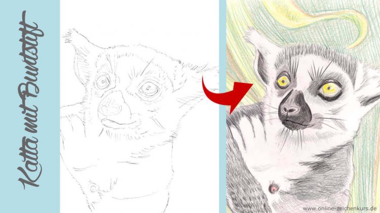 Step by step: Kattas zeichnen und malen