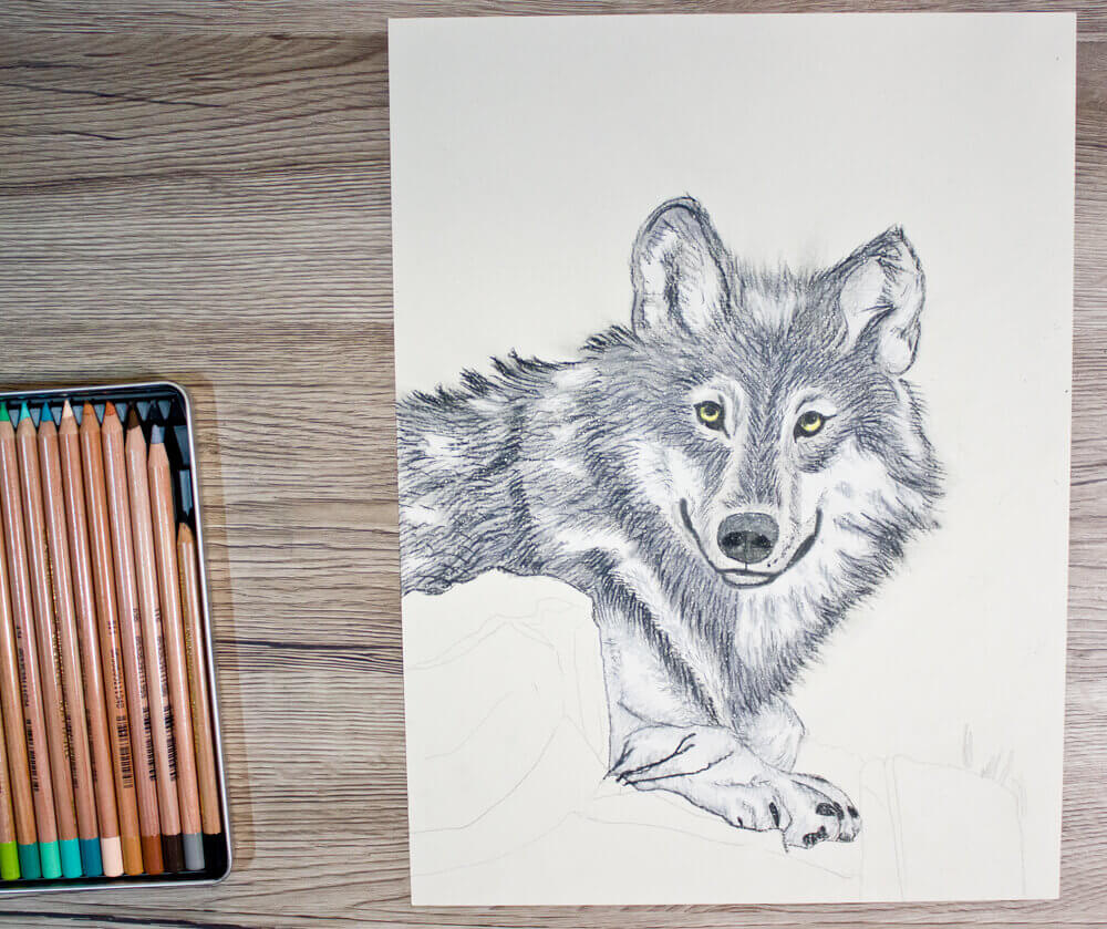 Featured image of post Zeichnen Für Anfänger Tiere Wolf / Der körper des spielzeugs ist mit einem.