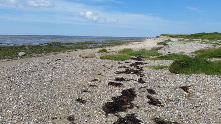Nordsee Sandstrand Fotovorlagen zum Abzeichnen