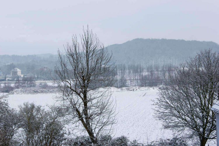 Fotovorlage zum Abzeichnen: Winterliche Schneelandschaft
