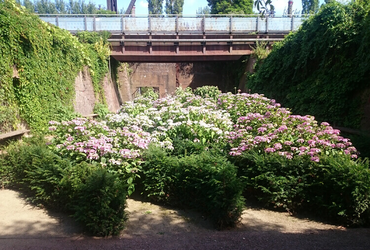 Landschaftspark Duisburg Blumenbeet 1