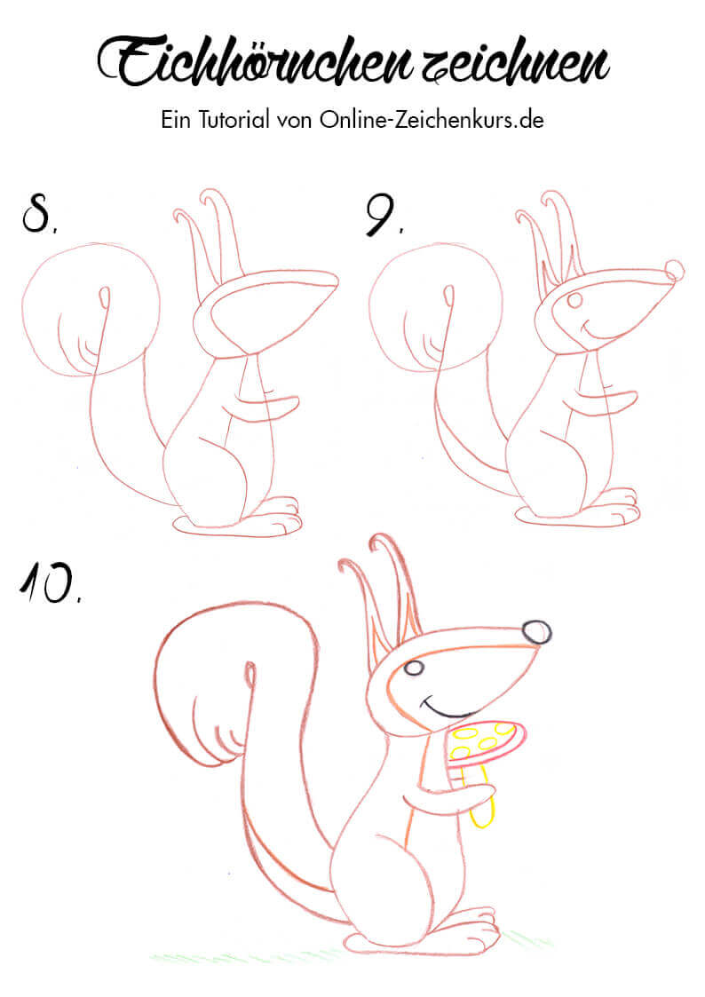 Zeichentutorial: Eichhörnchen zeichnen 3