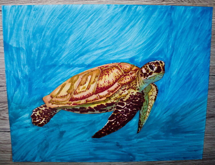 Meeresschildkröte malen mit Brushmarker 6
