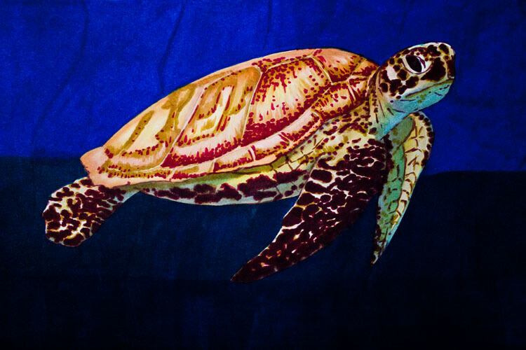 Meeresschildkröte malen mit Brushmarker 7 Detailansicht