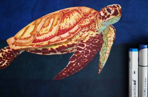 Meeresschildkröte malen mit Brushmarker