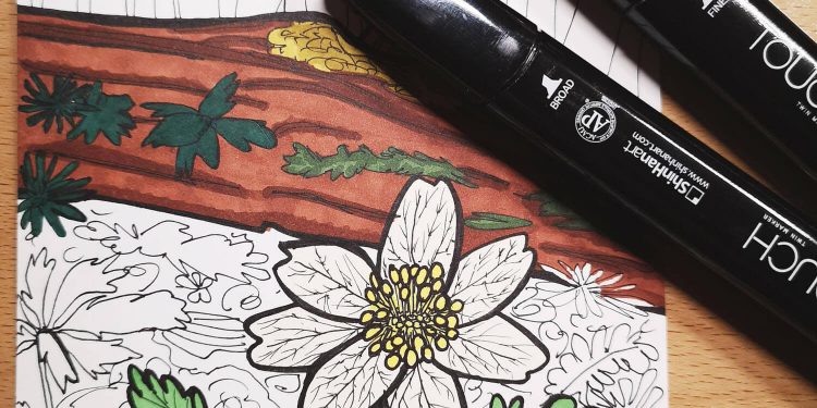 Buschwindröschen mit Markern malen