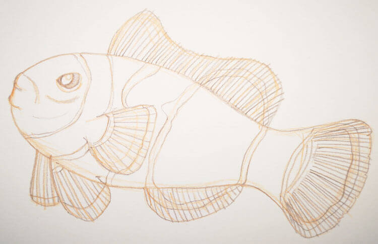 Buntstiftzeichnung Sternzeichen Fische Clownfisch 2