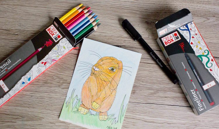 Kaninchen zeichnen lernen