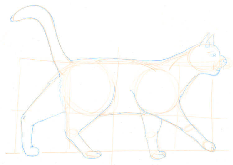 Katze Zeichnen Einfach