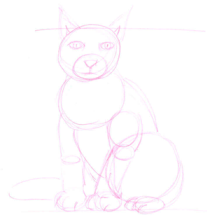 Sitzende Katze zeichnen: Bleistiftskizze