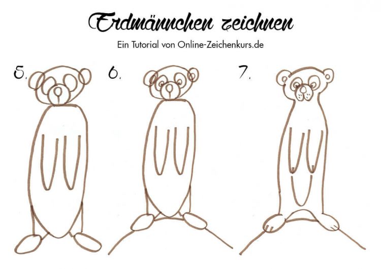 Safari Tiere zeichnen