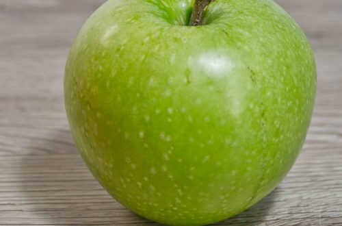 Foto eines Apfels als Zeichenvorlage - für Anfänger geeignet