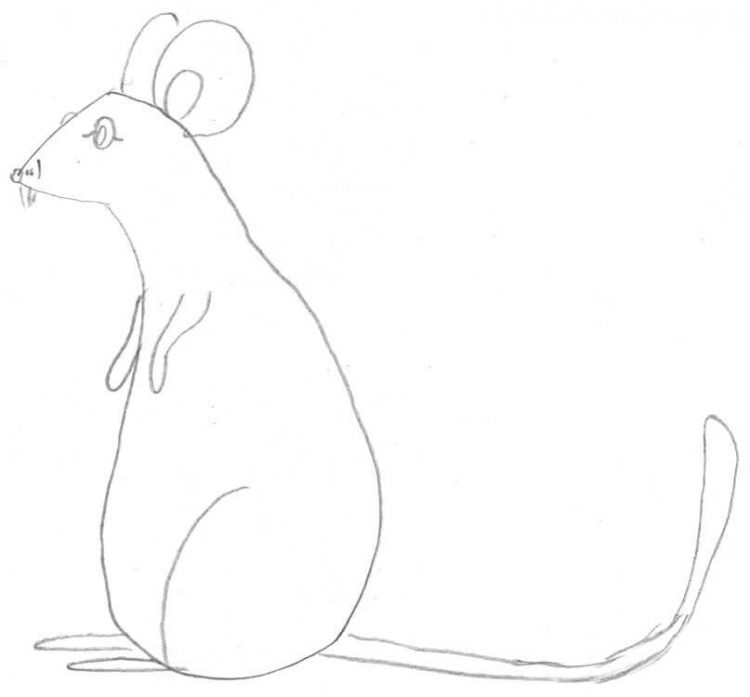  Foto zu Maus zeichnen - Anleitung für Kinder und Einsteiger 