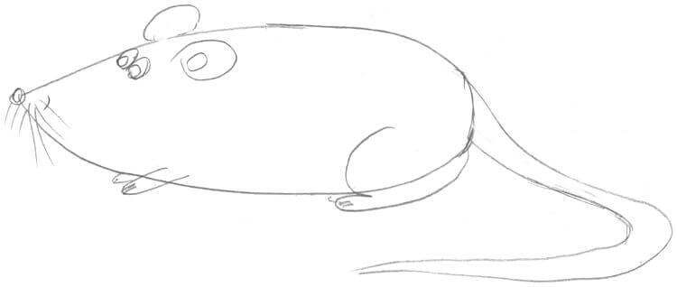 Maus zeichnen für Kinder: Beispiel - Maus sitzt (von der Seite 1)