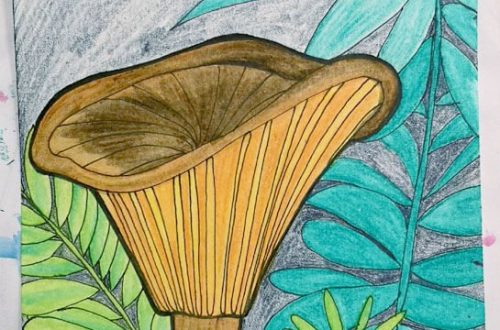 Aquarell Pilz malen: Kolorierung Schritt 6