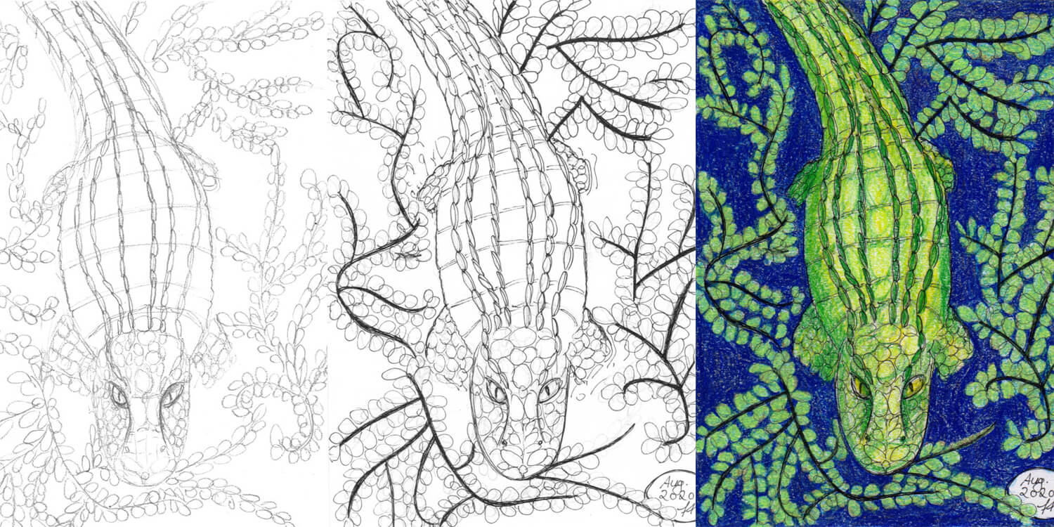 Krokodil zeichnen und malen mit Buntstift Titelbild