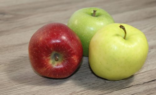Apfel Fotovorlagen zum Abzeichnen