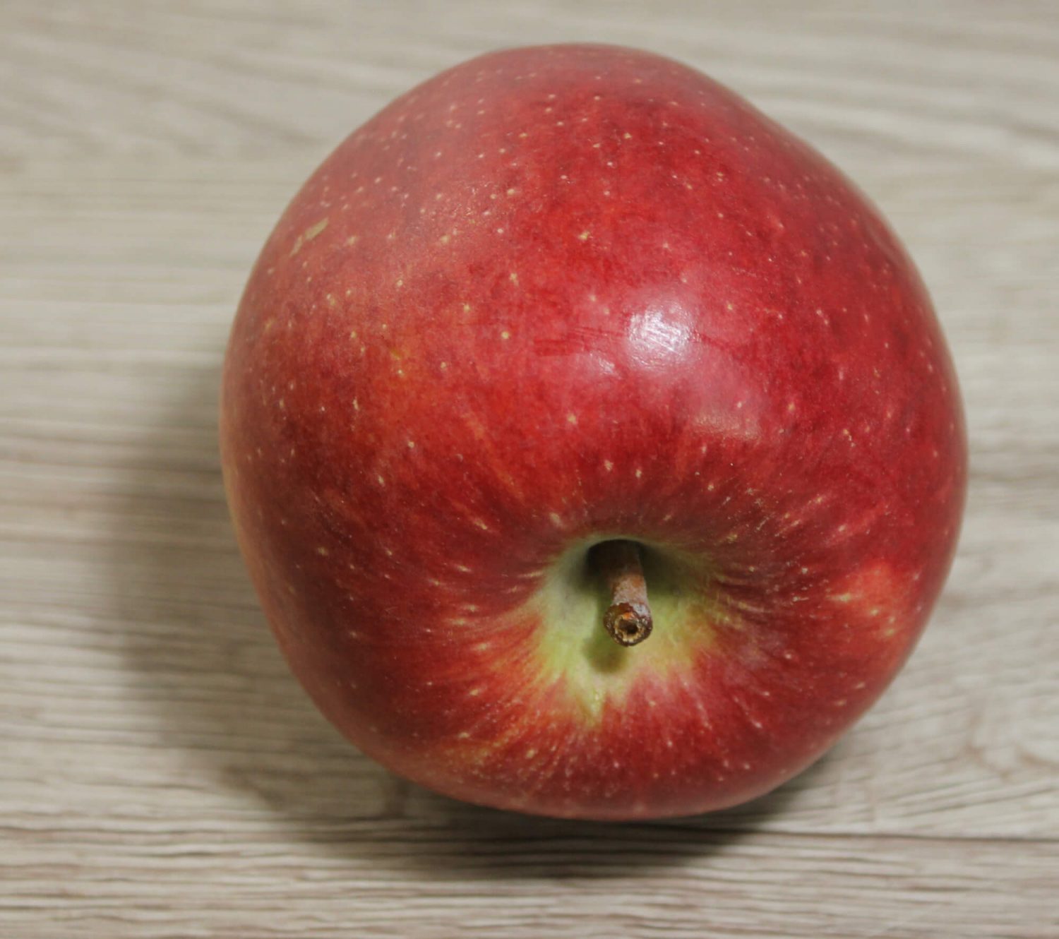 Liegender roter Apfel in Aufsicht von vorne
