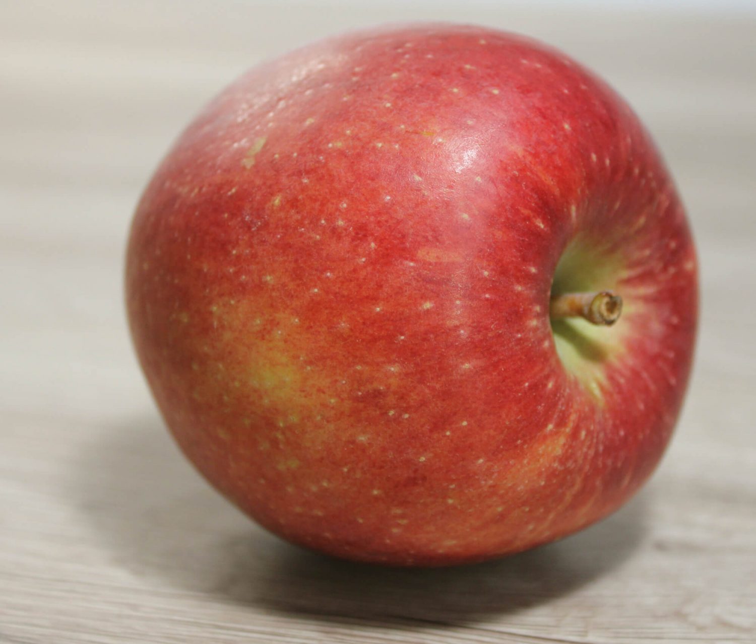 Fotovorlage: Liegender roter Apfel auf Augenhöhe seitlich